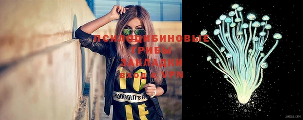 трава Бородино