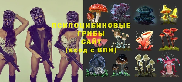МДМА Богородск