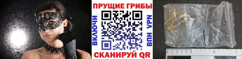 мориарти состав  как найти закладки  Разумное  Псилоцибиновые грибы Psilocybe 